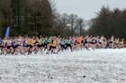 Start of the senior womens Northern Cross Country Championships.